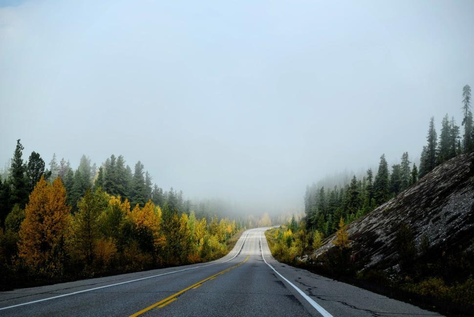 Free Image of Foggy highway in a scenic mountainous forest area 