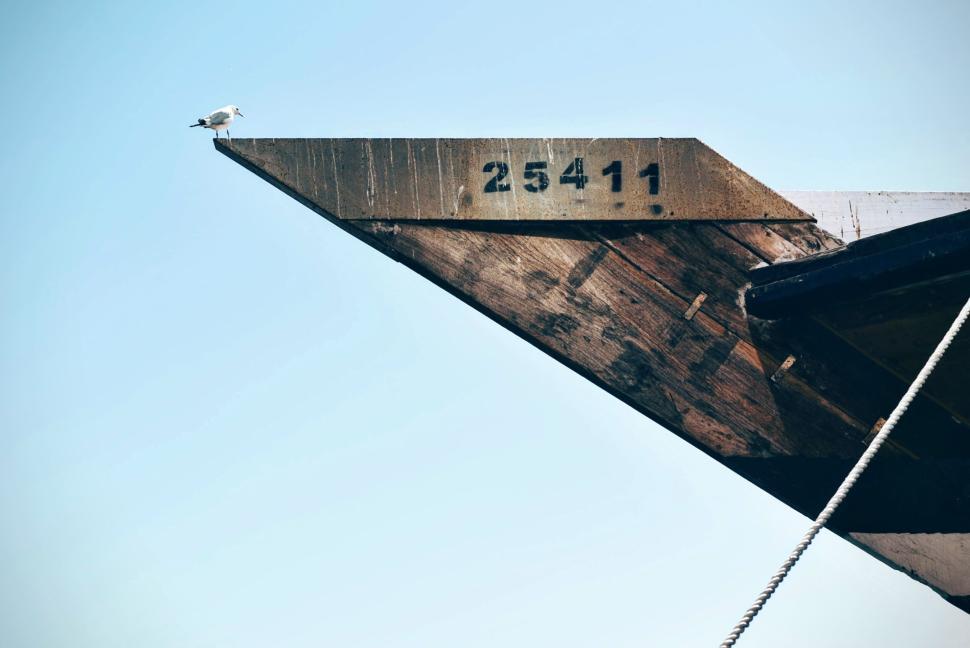 Free Image of Seagull perched on the bow of a boat with number 25411 
