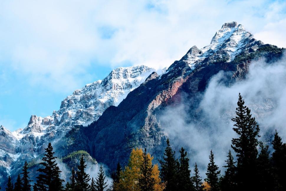 Free Image of Snow-capped mountains with forest and clear sky. 