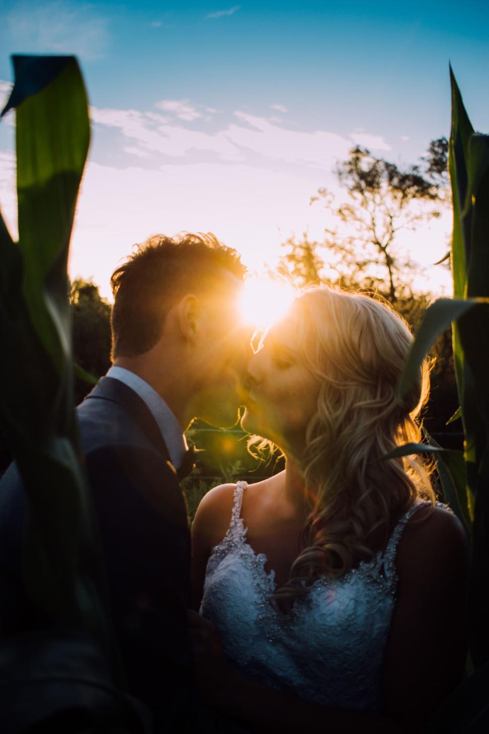 Free Image of Romantic couple in sunset field with wedding attire 