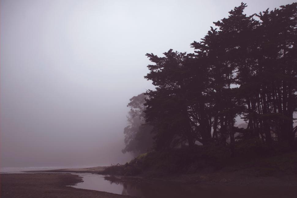 Free Image of Foggy morning with silhouette of trees by the riverside. 