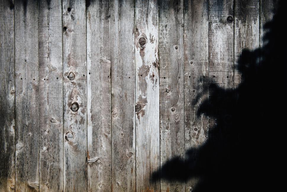 Free Image of Weathered wooden fence with tree shadow overlay on fence. 