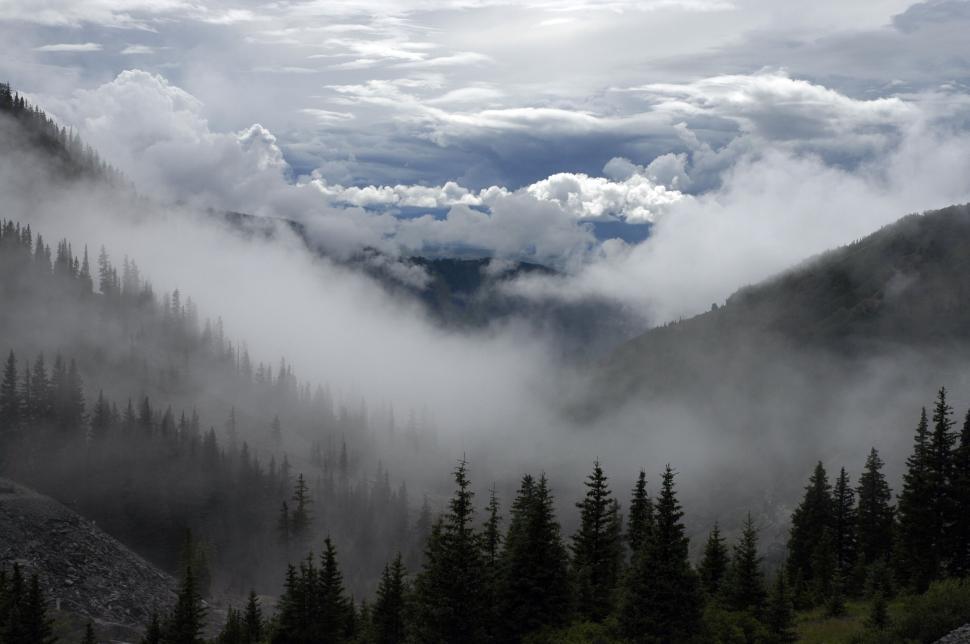Free Image of Scenic misty mountain valley filled with evergreen trees 