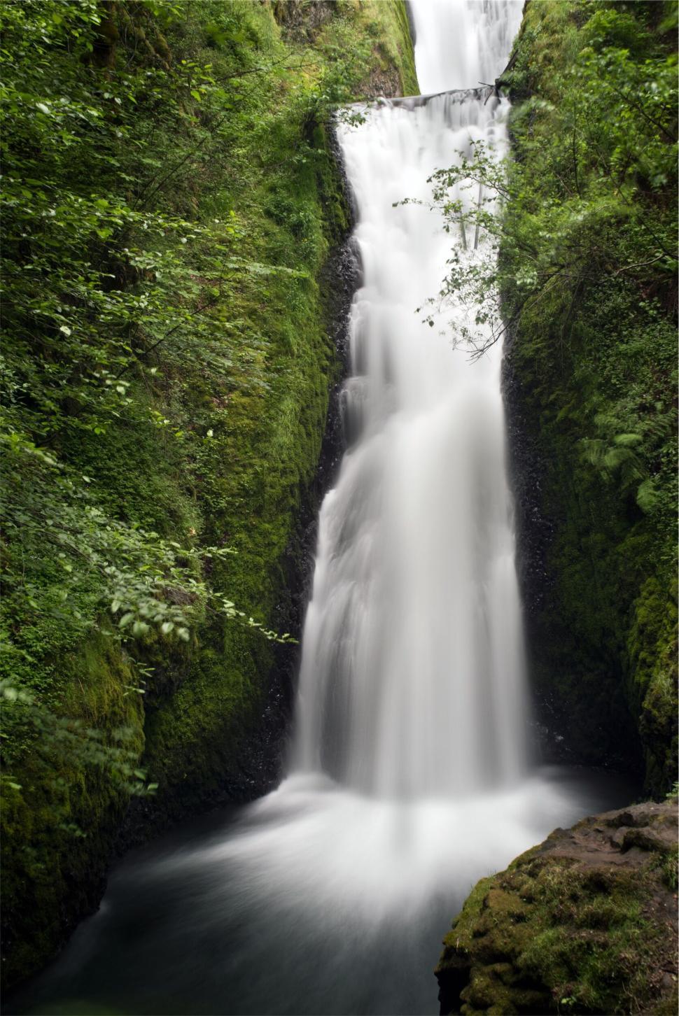 Free Image of Elegant waterfall flowing down rocks in lush forest 