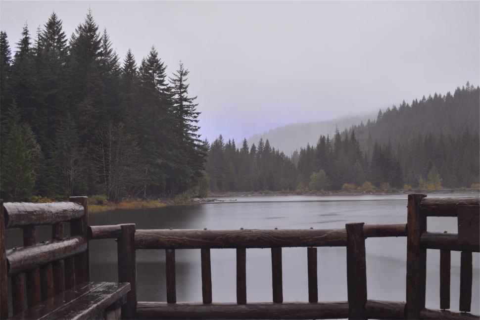Free Image of Rustic lakeside view with wooden railing and dense forest 