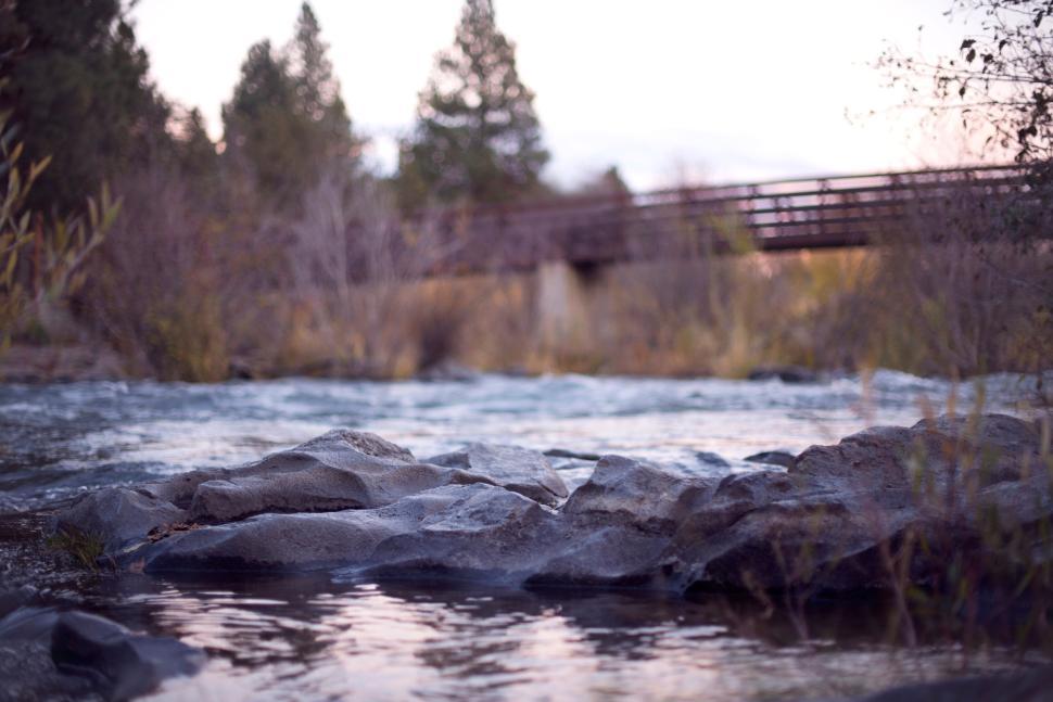 Free Image of River flowing under wooden bridge with trees around 