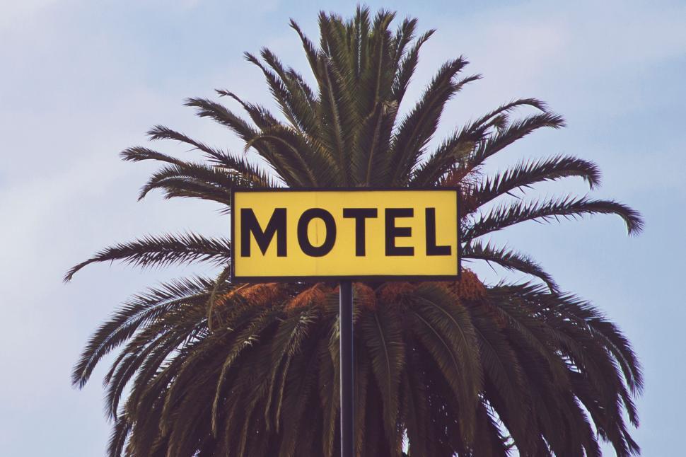 Free Image of Yellow motel sign with a palm tree in the background 