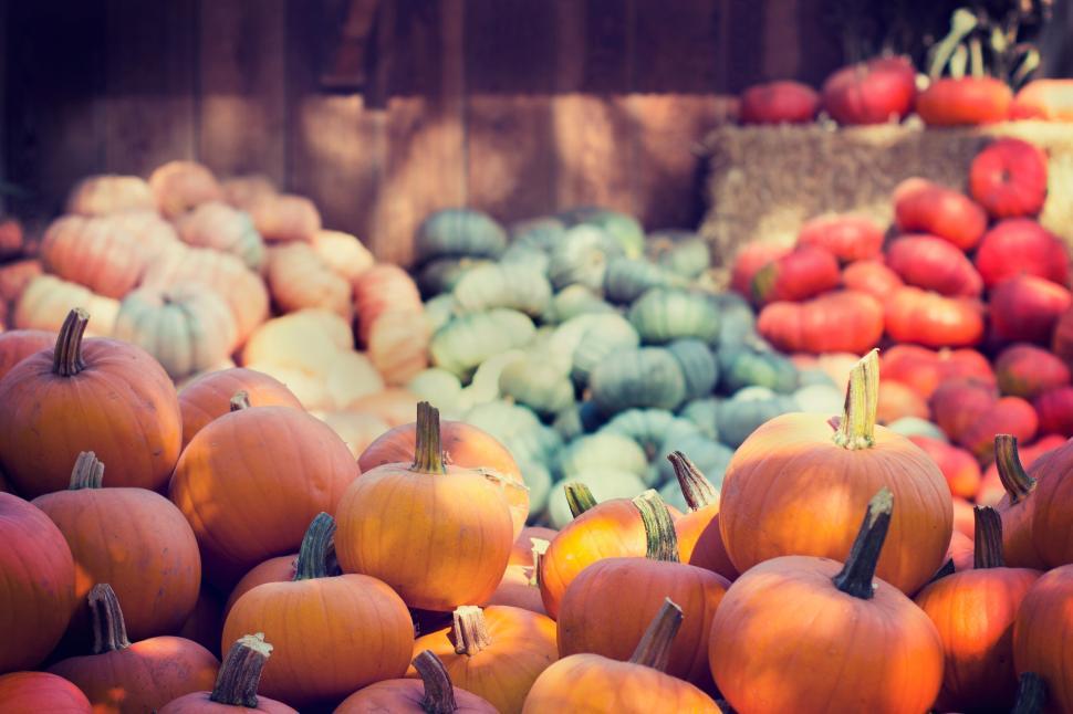 Free Image of Stack of colorful pumpkins at an outdoor market 