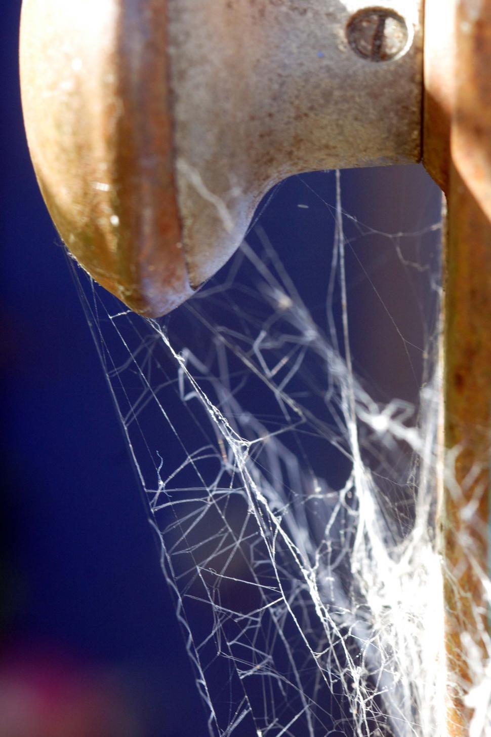 Free Image of Web covered doorknob 