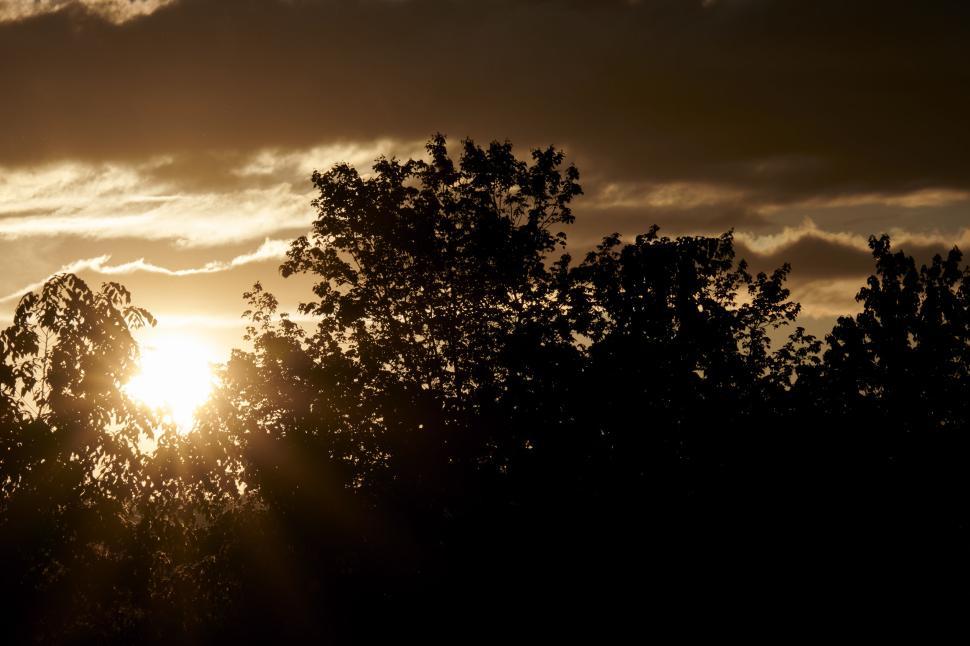 Free Image of Sunset view with trees silhouetted against a dramatic sky 