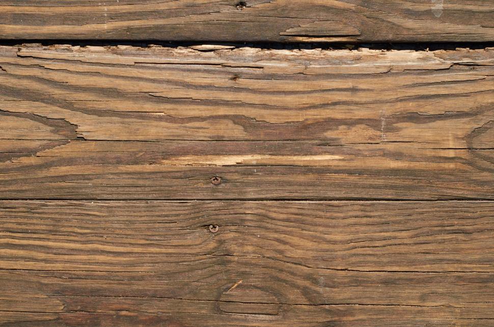 Free Image of Close-up of wooden surface showing natural wood texture 