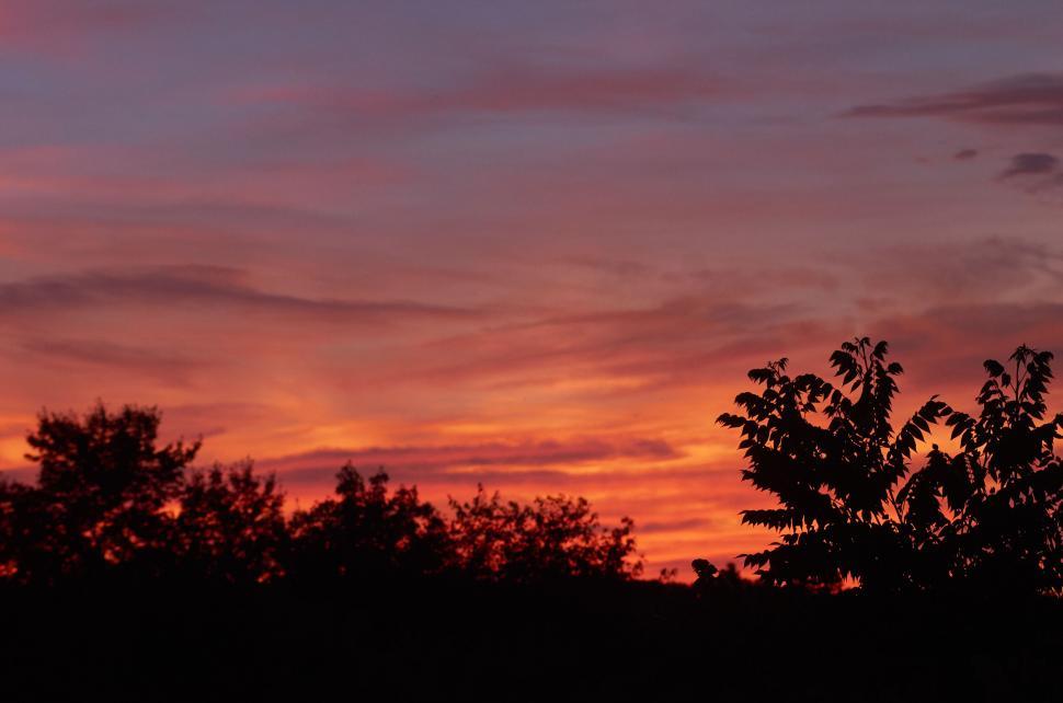 Free Image of Silhouette of trees against a vibrant fiery sunset sky 