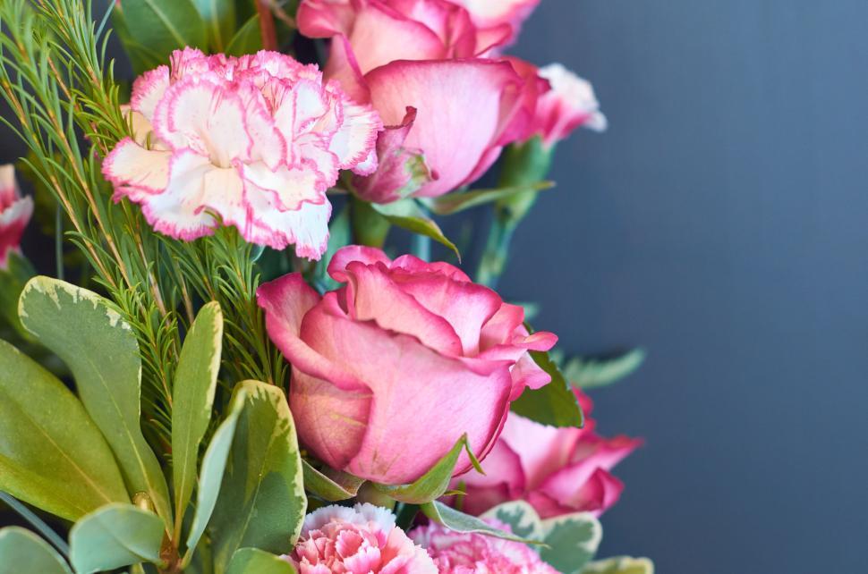 Free Image of Pink and white flowers in a bouquet against a gray wall 