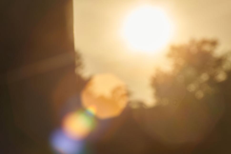Free Image of Bright sunlight through trees creating lens flare effects 