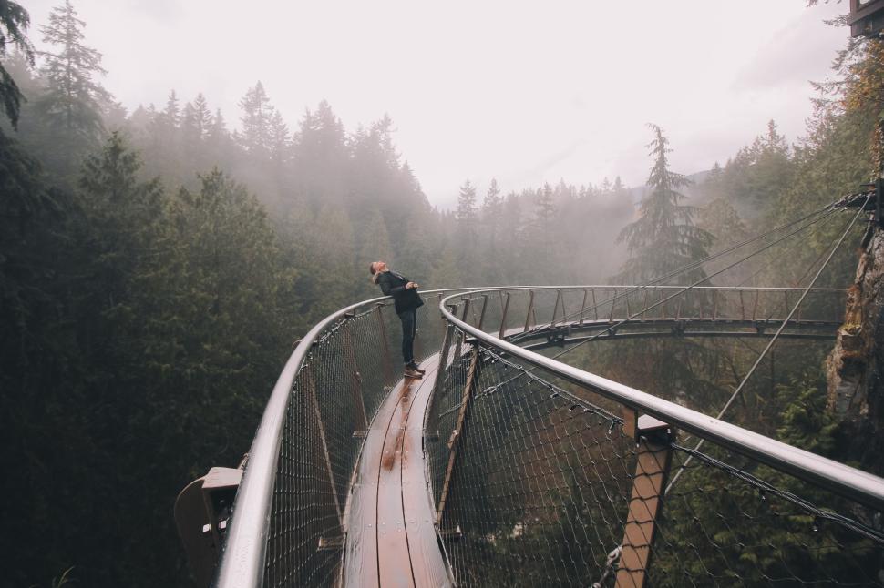 Free Image of Person leans over curved boardwalk above forested gorge 