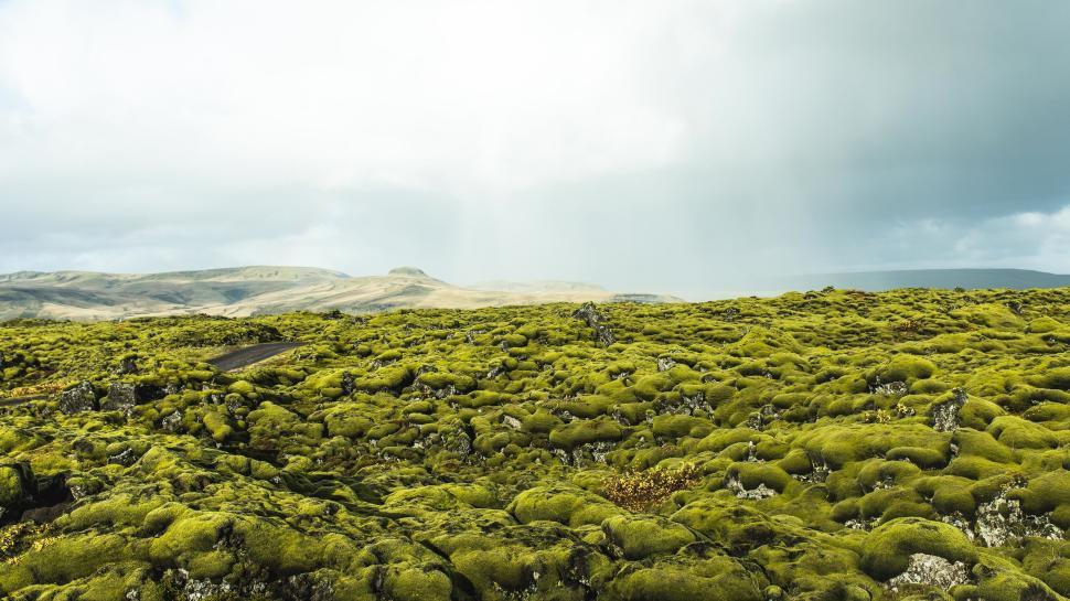 Free Image of Lush Green Moss Covering Expansive Rocky Terrain 