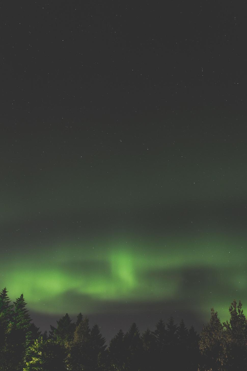 Free Image of Northern Lights shining brightly in the night sky. 