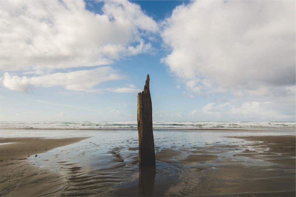 Free Image of Weathered tree stump standing alone on vast sandy beach. 