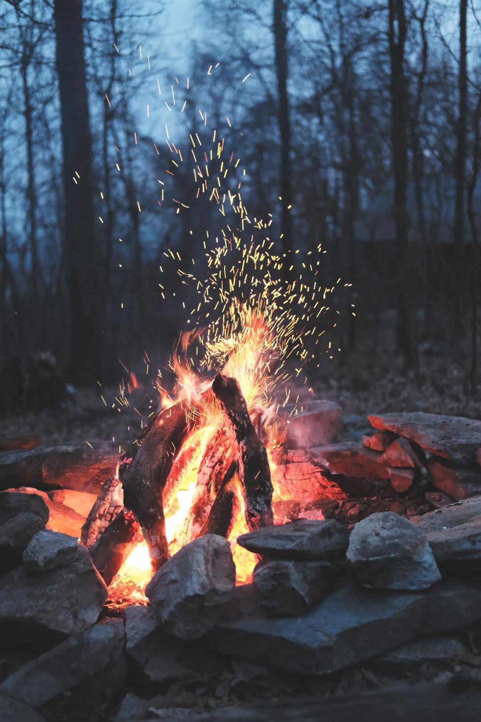 Free Image of Crackling campfire amidst forest background at dusk. 