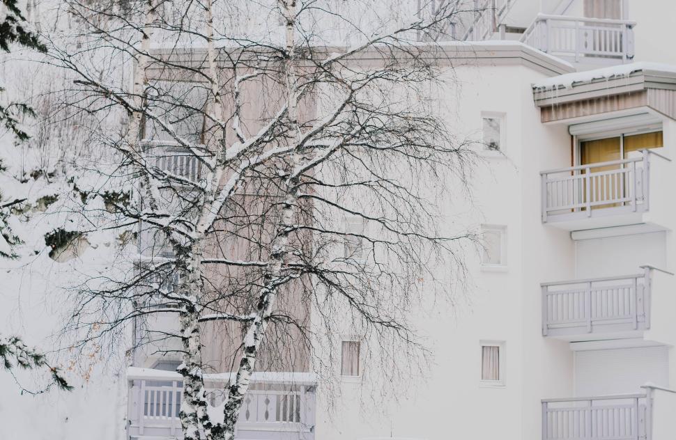 Free Image of Snow-covered apartment building with bare winter trees. 