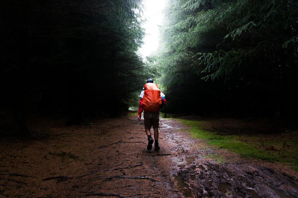 Free Image of Hiker in forest with orange backpack on a rainy day 