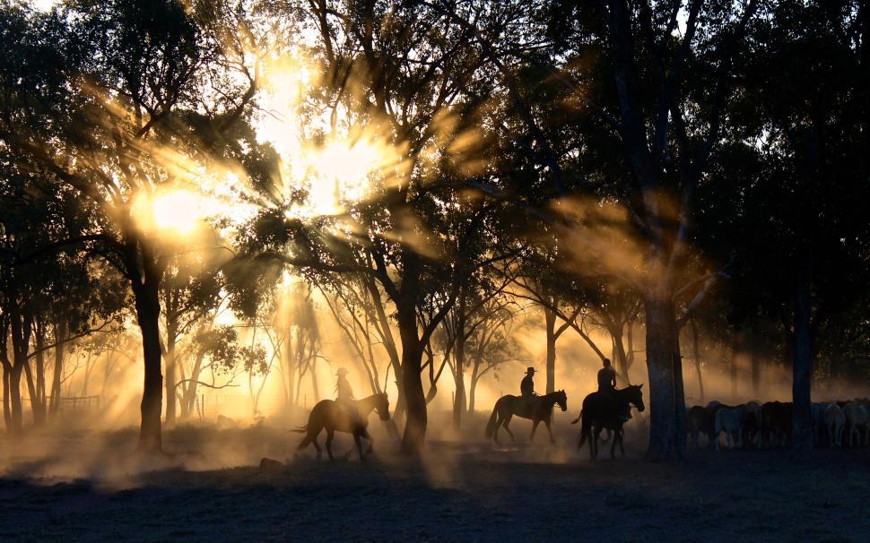 Free Image of Silhouettes of horseback riders at sunset in forest 