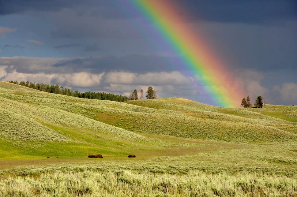 Free Image of Rainbow over lush green fields with distant trees. 