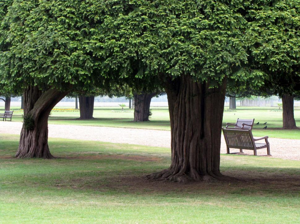 Free Image of Cedar Park 