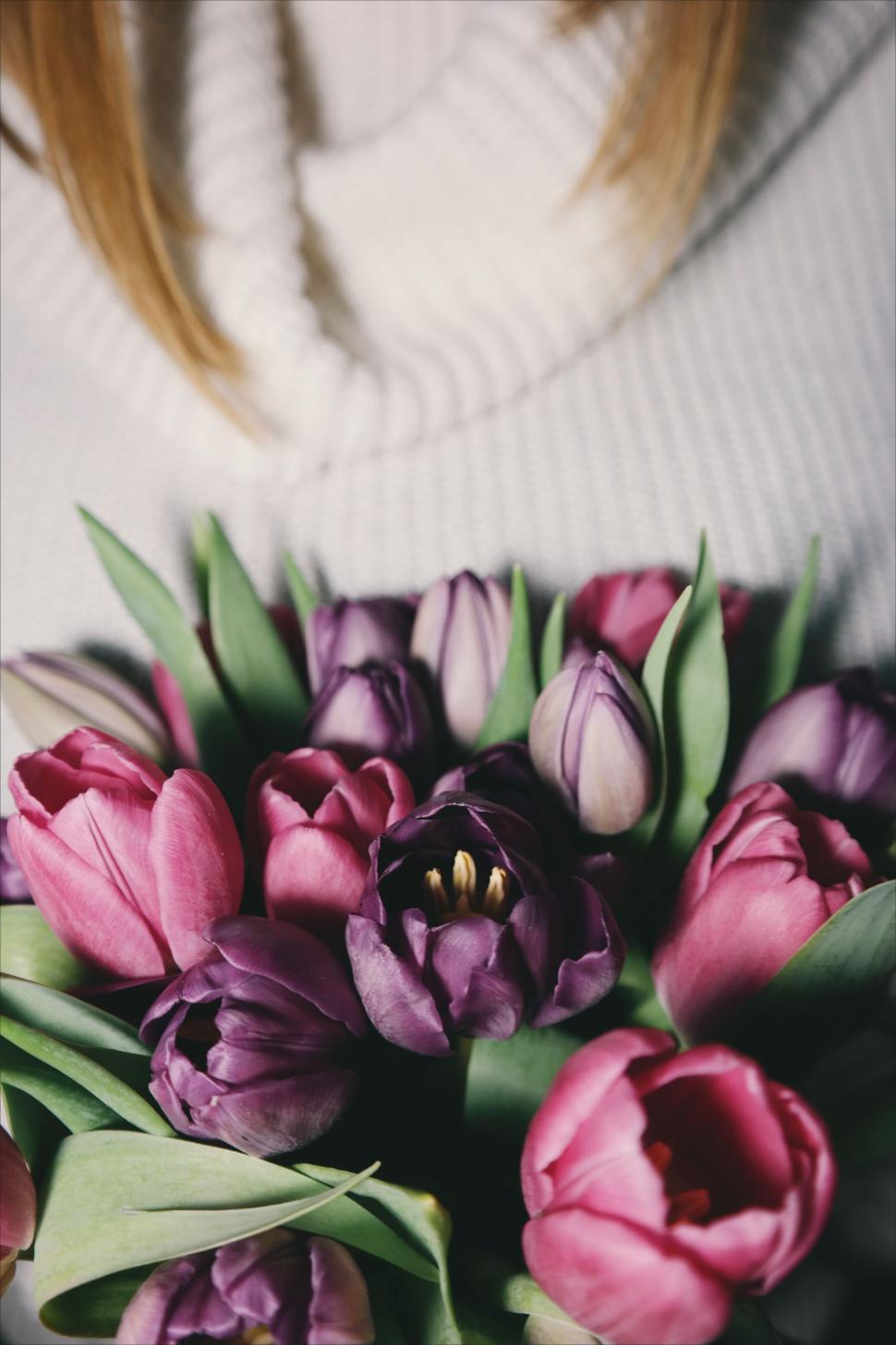 Free Image of Beautiful bouquet of pink and purple tulips held close 