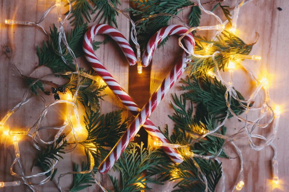 Free Image of Festive candy canes and evergreen branches with lights 
