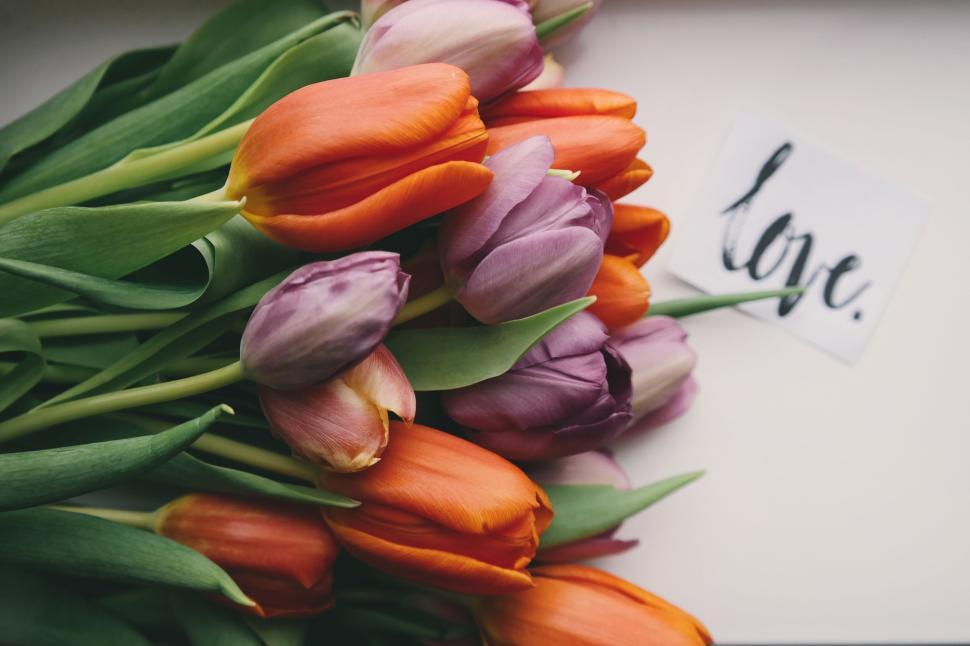 Free Image of Colorful tulips arranged next to card with love text 