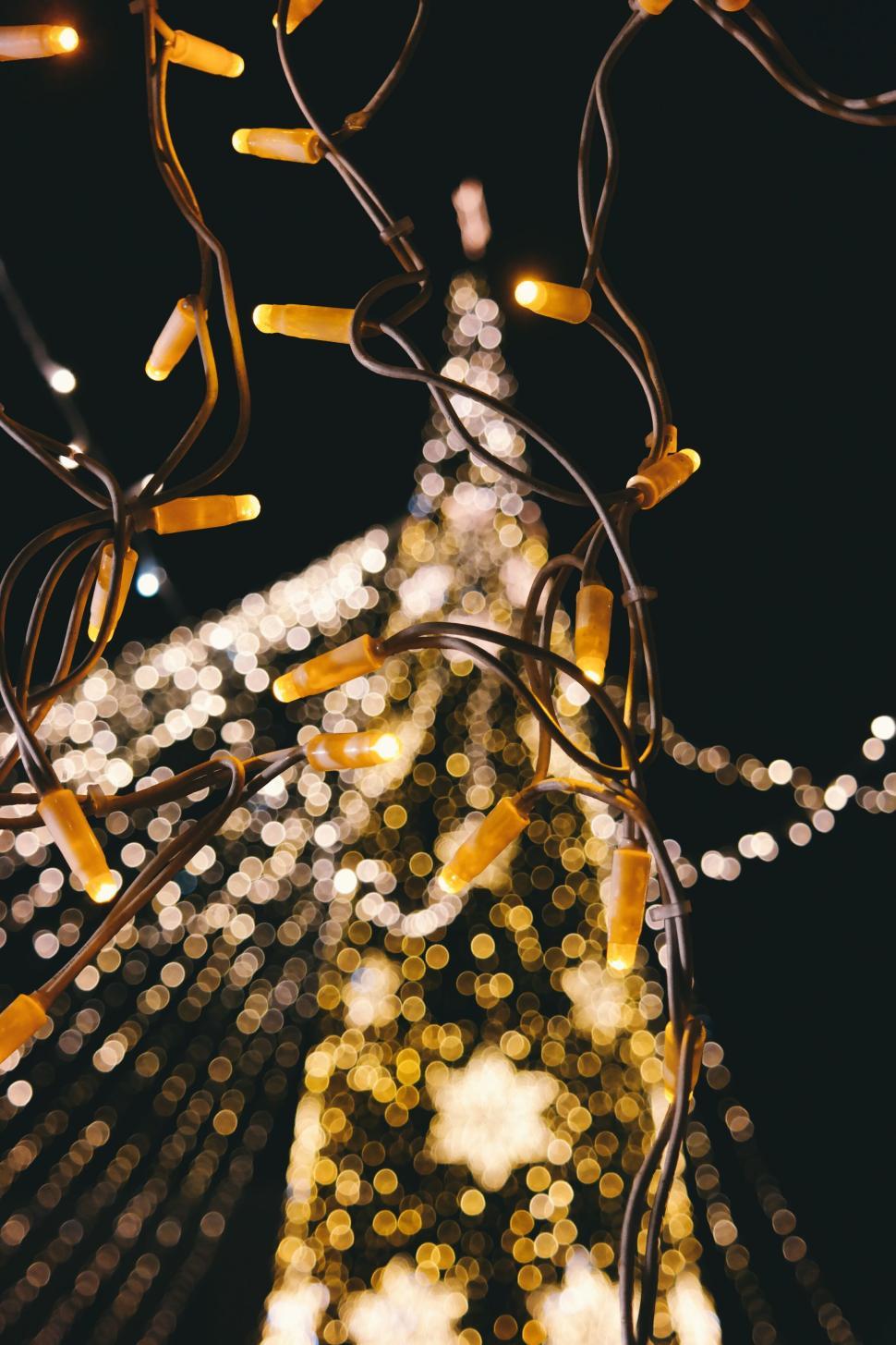 Free Image of Outdoor Christmas tree decorated with golden lights. 