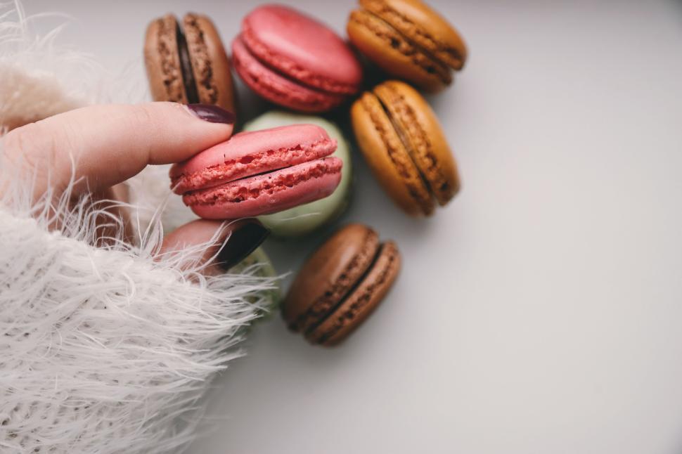 Free Image of Assorted macaron cookies in various colors 