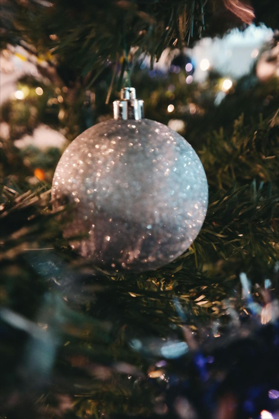 Free Image of Glittery silver Christmas ornament on a festive tree 