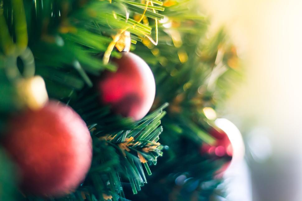 Free Image of Christmas ornaments on a decorated pine tree branch. 