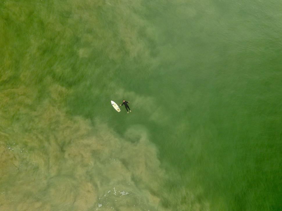 Free Image of Solo surfer paddling in calm green ocean waters. 