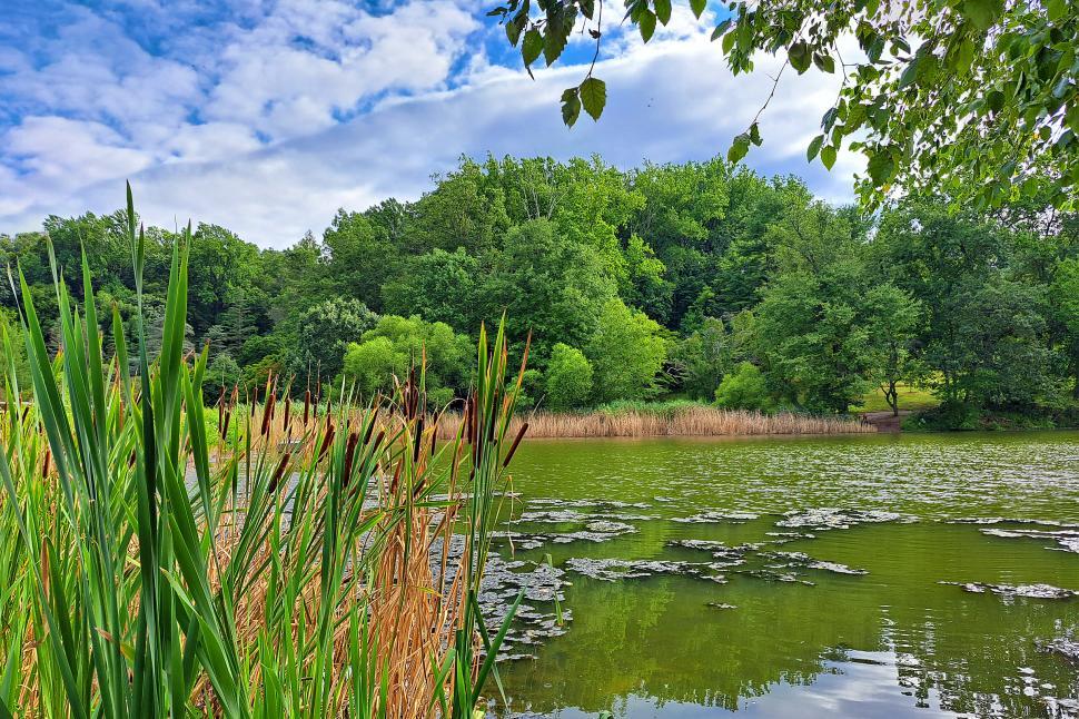 Free Image of Lakeside Vista 