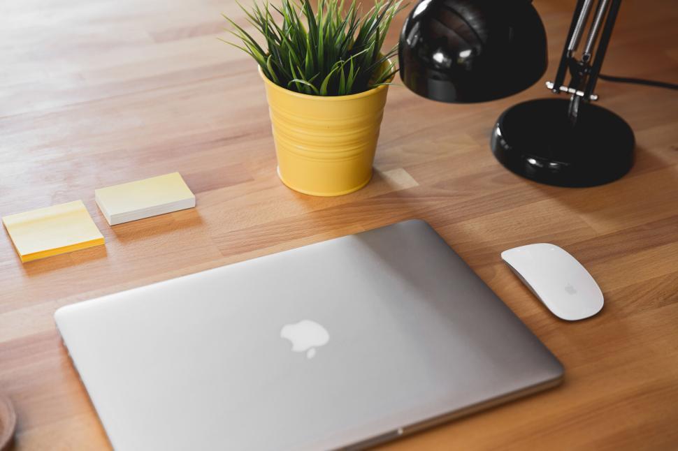 Free Image of Modern workspace with laptop, plant, and mouse 
