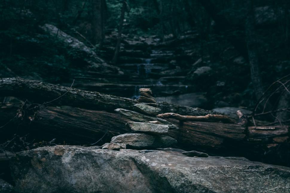 Free Image of Serene forest stream with rock cairns and fallen logs 
