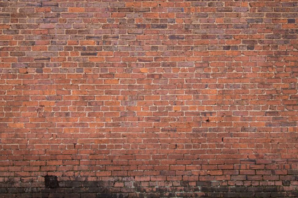 Free Image of Red brick wall with the bottom part showing black mold. 
