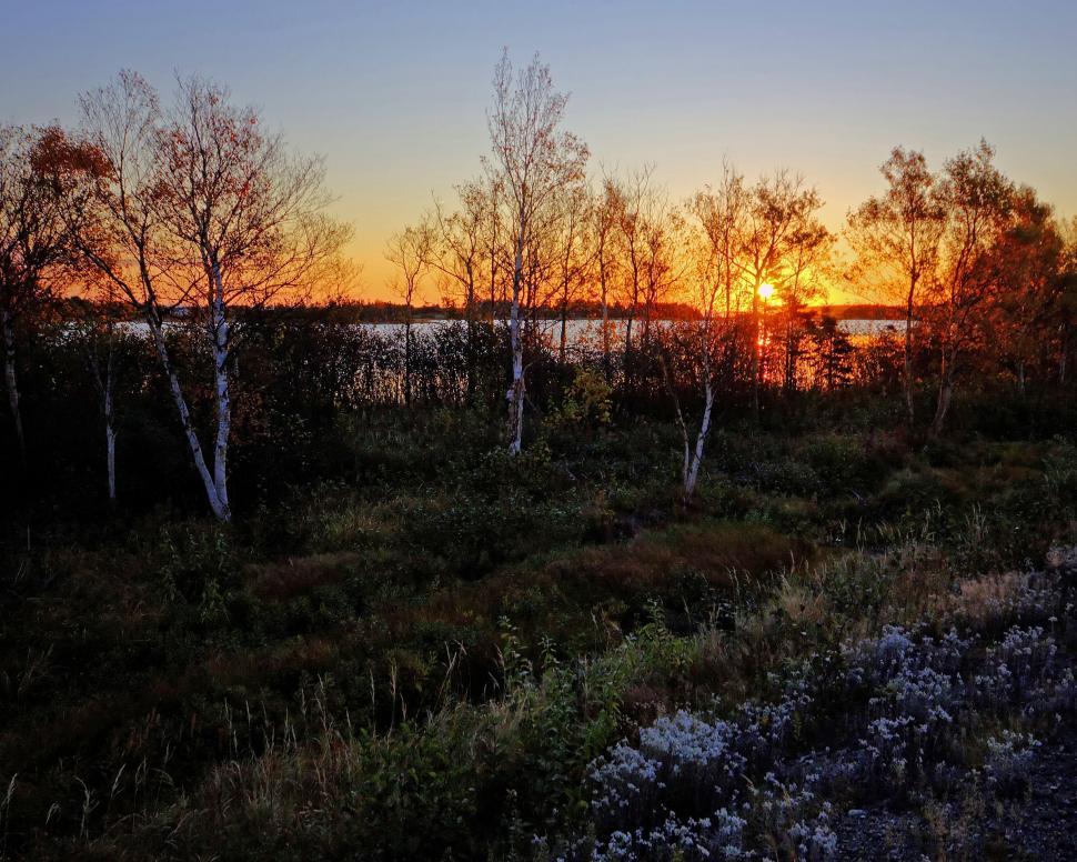 Free Image of Autumn Morning 