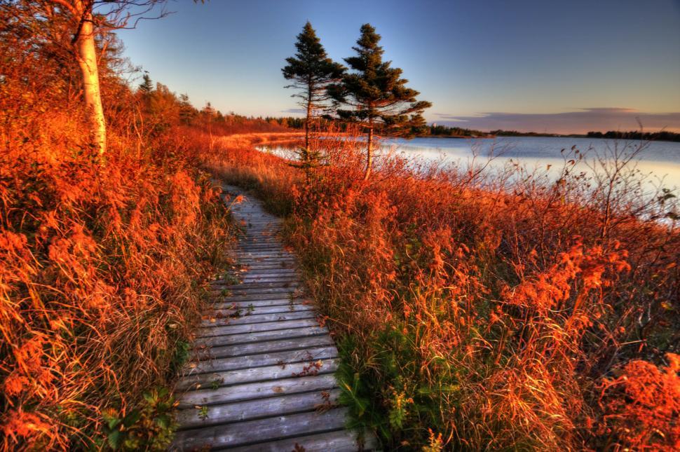 Free Image of Autumn Morning 