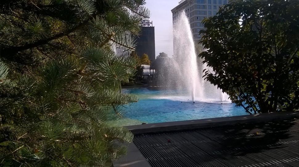 Free Image of Fountain spraying water amidst lush greenery in urban setting 