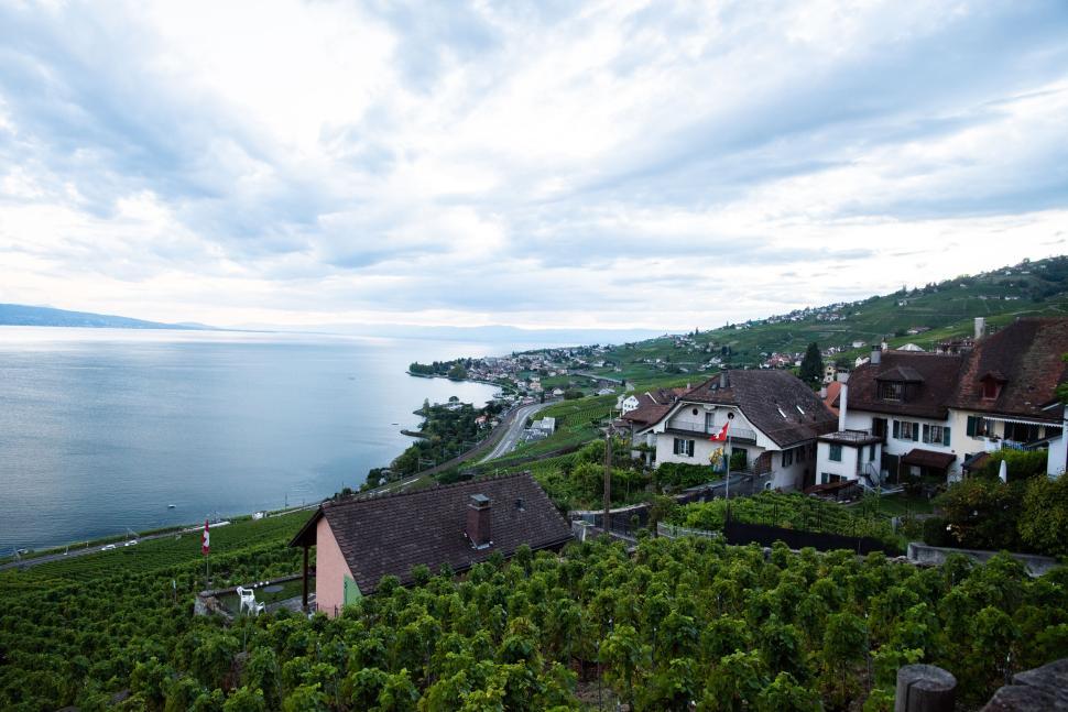 Free Image of Vineyard houses overlooking a serene lakeside view. 