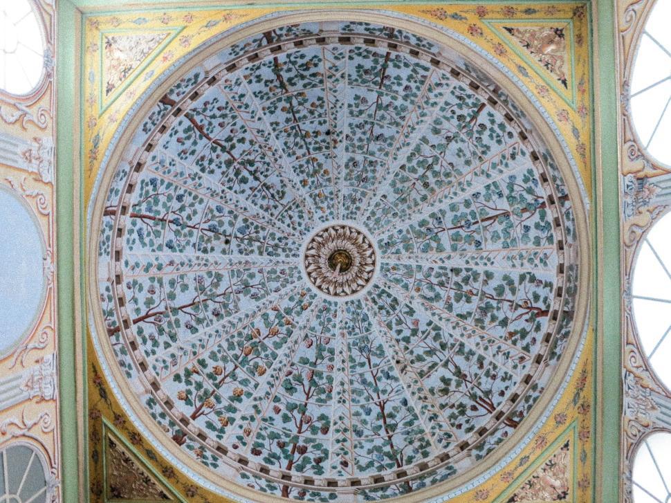 Free Image of Intricately ornate ceiling with colorful botanical motifs. 