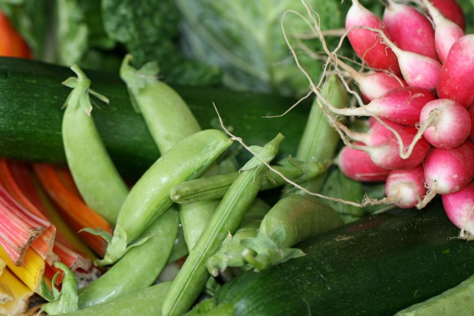 Free Image of Assorted fresh vegetables from the garden in a pile. 
