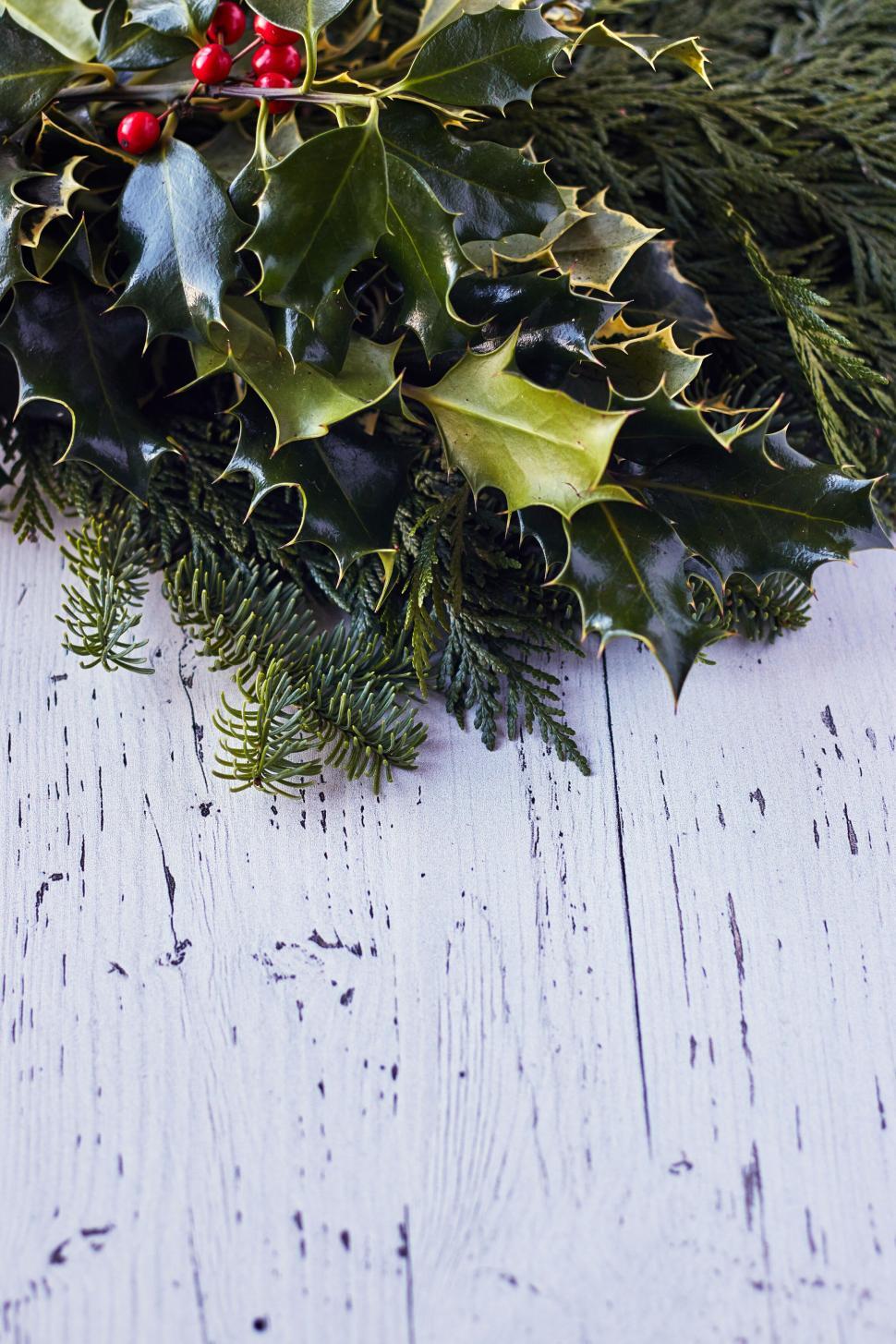 Free Image of Holly leaves and berries on rustic wooden background 