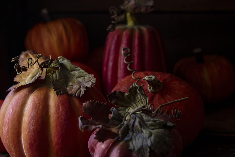 Free Image of Group of pumpkins with detailed leaves in dim light. 