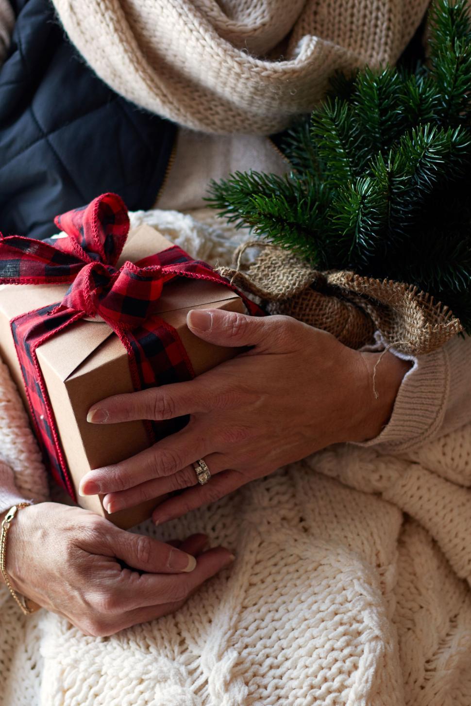 Free Image of Hands holding a gift box and a small Christmas tree. 