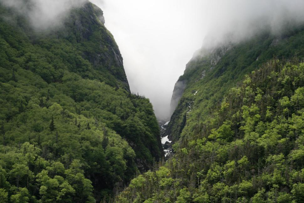 Free Image of Mountain valley with dense forest and misty atmosphere 